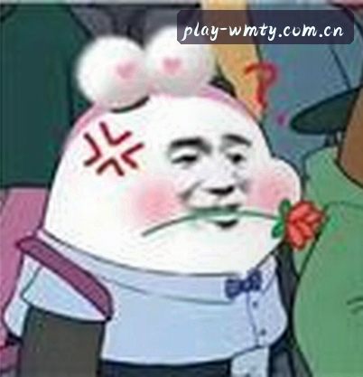赵鹏